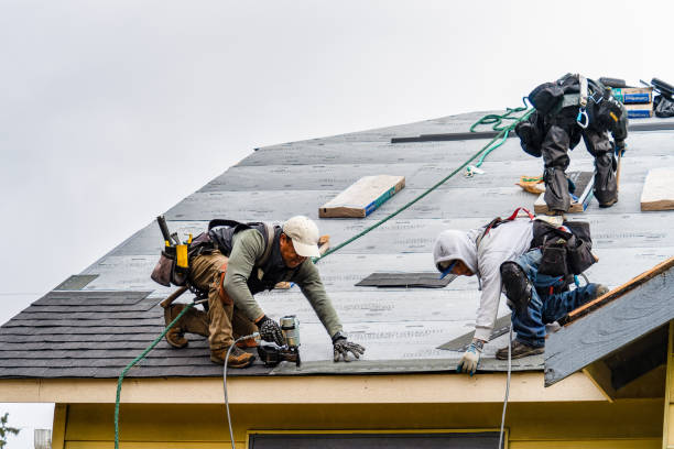 Professional Storm Damage Roof Repair technician working in Harrison, WI
